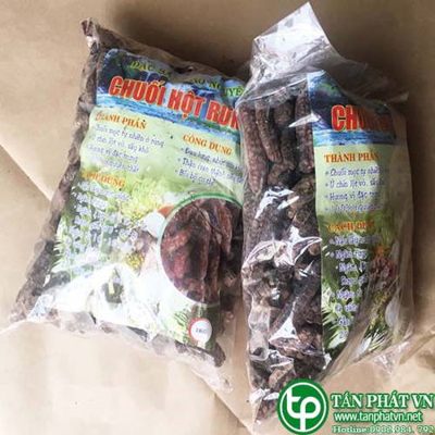 Địa chỉ mua bán chuối hột rừng tại An Giang chất lượng