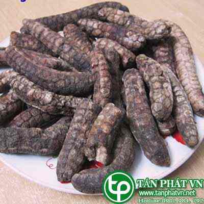 Địa chỉ mua bán chuối hột rừng tại Cần Thơ giá tốt