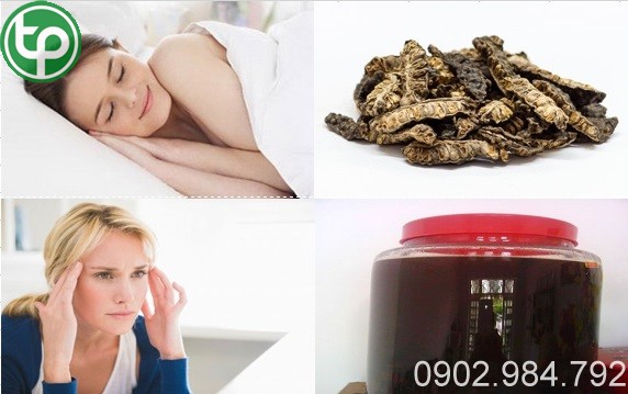 Địa chỉ mua bán trái nhàu khô tại Gia Lai
