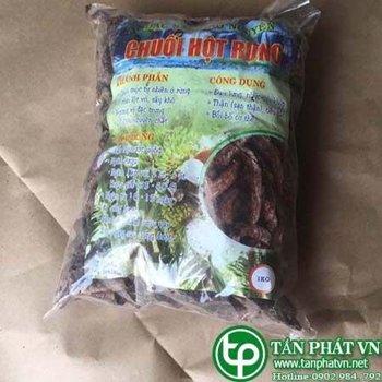 Phân phối sỉ chuối hột rừng tại Thanh Hóa giao hàng nhanh